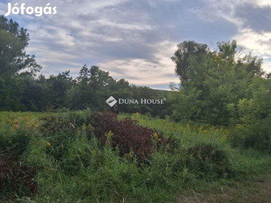 Bábonymegyeri eladó 5966 nm-es telek