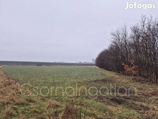 Babót - szántó eladó