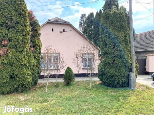 Bács-Kiskun megye Sükösd, felújítandó, 122 nm-es családi ház eladó