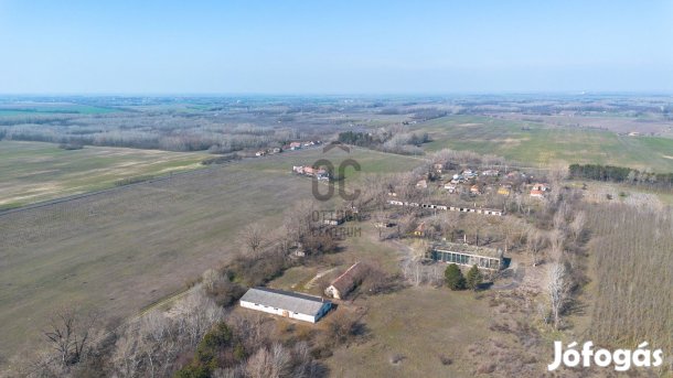 Bácsszőlősi eladó üzleti célú ingatlan