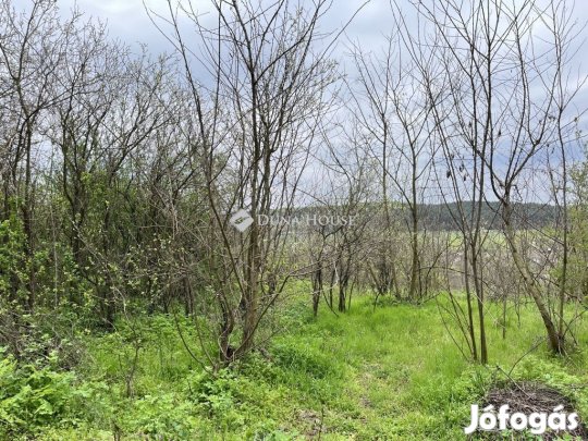 Bagi 978 nm-es telek eladó