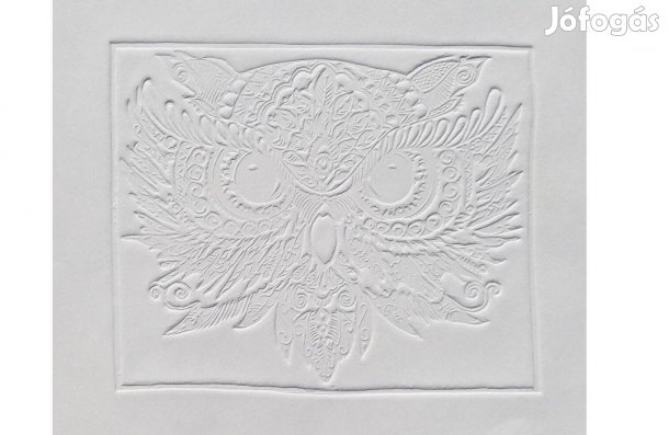 Bagoly dombornyomott grafika (linó,linómetszet) eredeti,kézzel készült