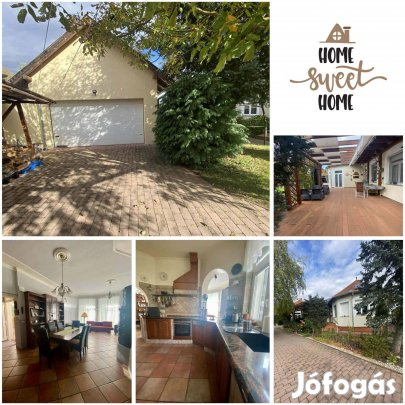 Bagolyvár közelében!