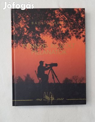 Bágyi Ferenc: Fénnyel rajzolt pillanatok
