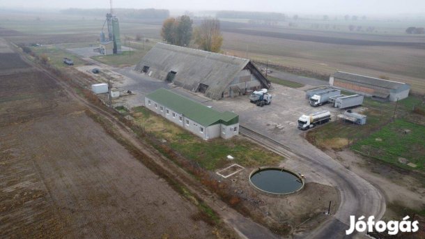 Baja és Szeged között Mélykúton mezőgazdasági telephely eladó!