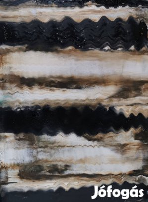 Baján Ildikó festmény 60 x 80 cm