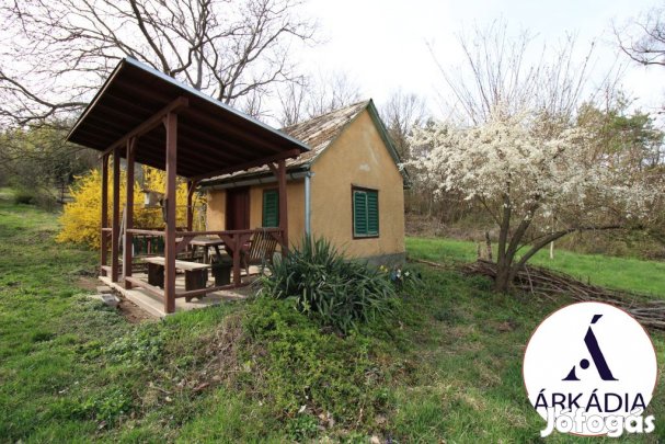 Bájos hétvégi ház Lukácsházán eladó