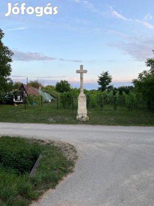 Bakonygyiróti ingatlan+szőlő