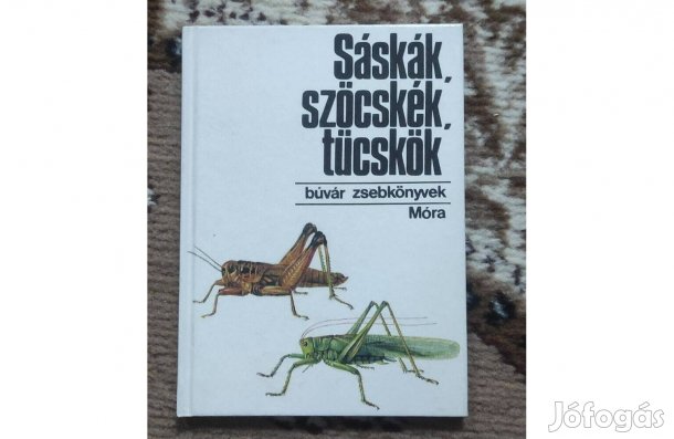 Bakonyi Gábor: Sáskák, szöcskék, tücskök