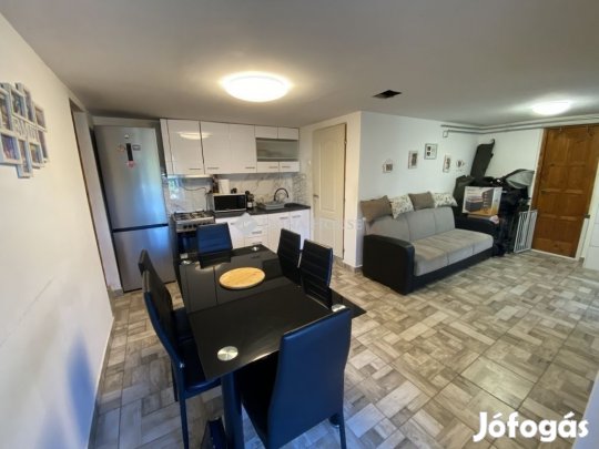 Baksai 90 nm-es ház eladó