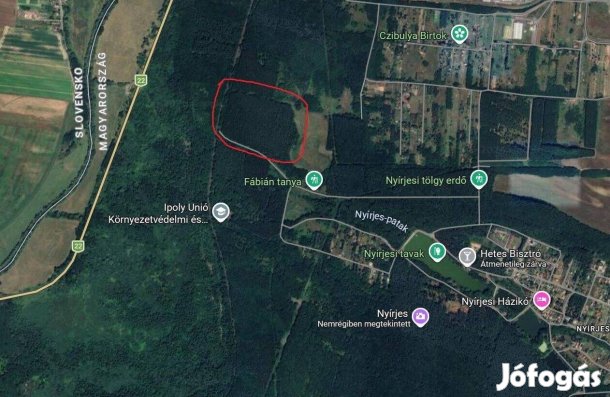 Balassagyarmati erdő eladó