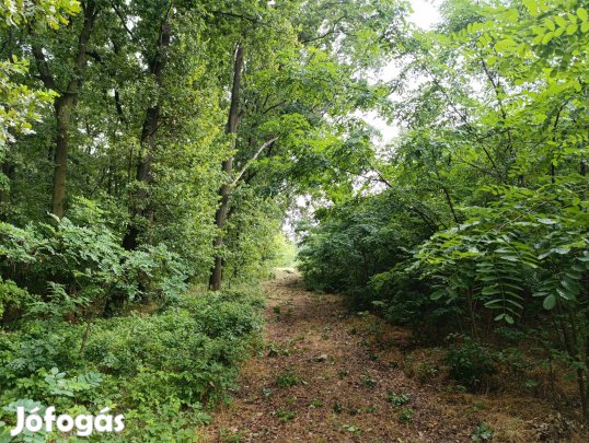 Balástyán aszfaltozott úttól 100 méterre Éden kert eladó
