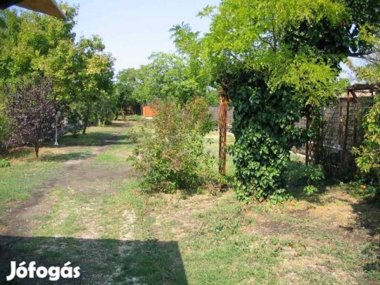 Balatonakali magán kemping Camping