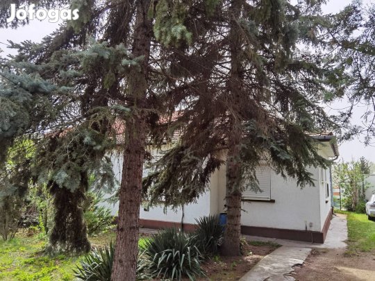 Balatonfűzfő családi ház eladó 