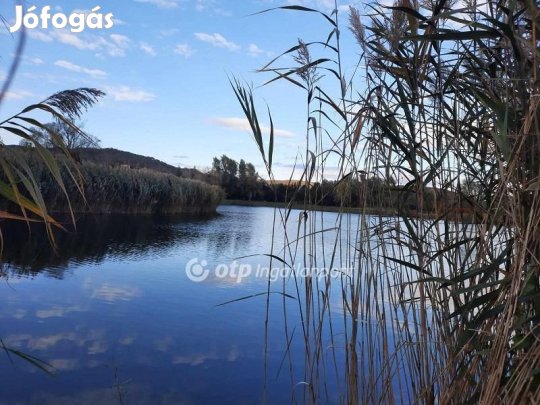 Balatongyöröki eladó 31500 nm-es telek