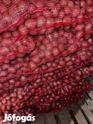 Balatoni Rózsa vetőmag 