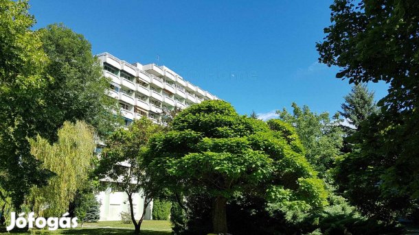 Balatoni panoráma szerelmeseinek!