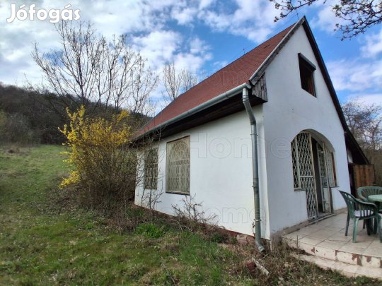 Balatoni panorámás nyaraló/présház borospincével, Dörgicsén eladó