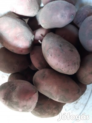 Balatoni rózsa eladó másodosztaju 