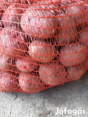 Balatoni rózsa vető méretű eladó 