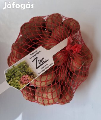 Balatoni rózsa zacskós kisgumós Akció