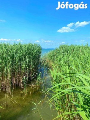 Balatonmáriafürdőn kiváló adottságú, vízparti telek