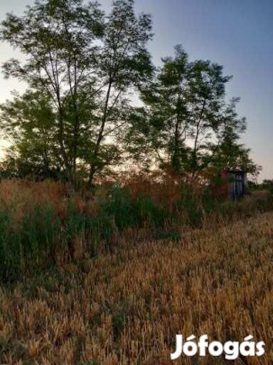 Balatonszabadiban mezgazdasgi telek elad