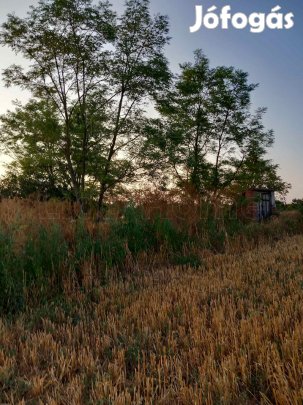 Balatonszabadiban mezgazdasgi telek elad