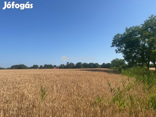 Balatonszabadii eladó 4000 nm-es telek
