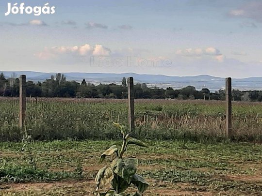 Balatonszárszói zártkerti ingatlan