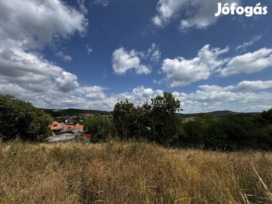 Balatonszőlősi eladó 747 nm-es telek
