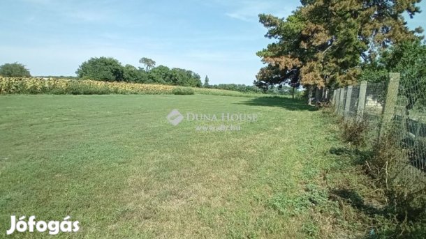 Balatonvilágosi 1250 nm-es telek eladó