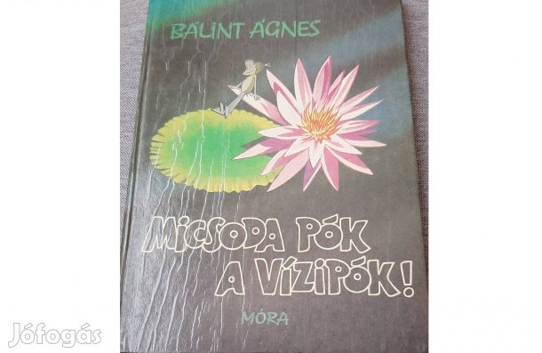 Bálint Ágnes: Micsoda pók a vízipók!