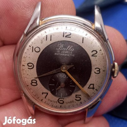 Balla bicolor Karóra