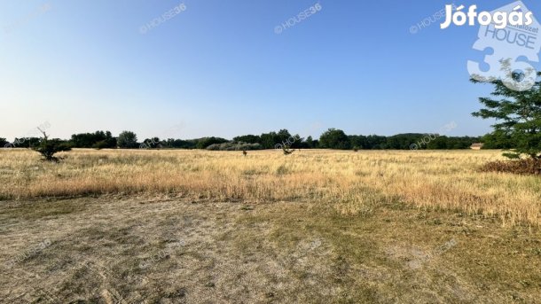 Ballószögön építési engedéllyel és tervekkel építési telek eladó!