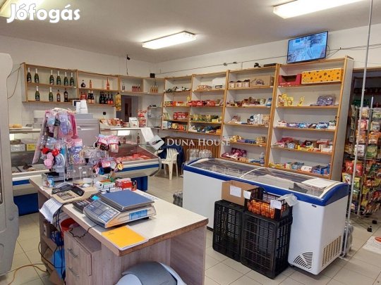 Balmazújvárosi 172 nm-es ház eladó