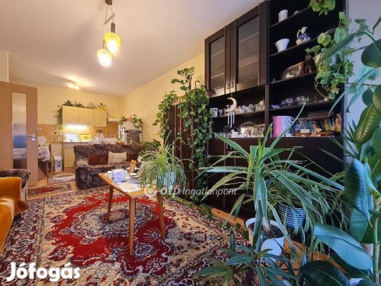 Balmazújvárosi 43 nm-es lakás eladó