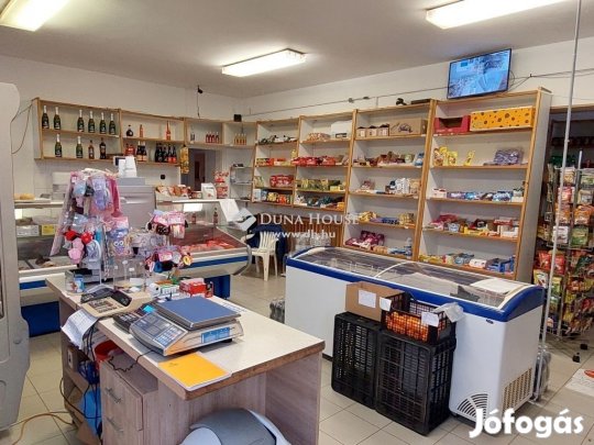 Balmazújvárosi eladó 172 nm-es ház