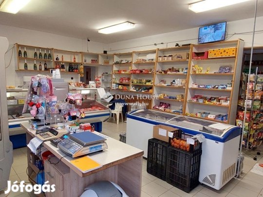 Balmazújvárosi eladó 172 nm-es ház