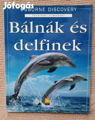 Bálnák és delfinek