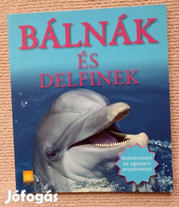Bálnák és delfinek