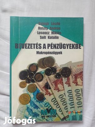 Balogh-Huszty-Losoncz-Solt: Bevezetés a pénzügyekbe (Makropénzügyek)