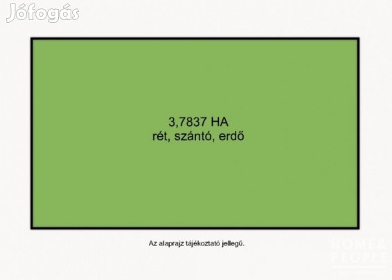 Balotaszálláson erdő eladó