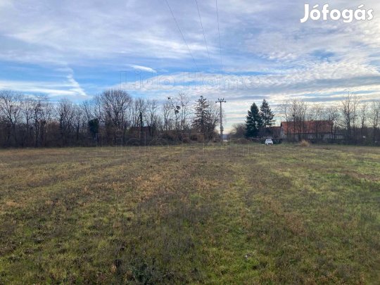 Bálványoson belterületi telek eladó