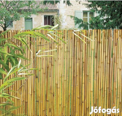Bambusz szál 120 országos ingyenes szállítással, csomagban eladó,