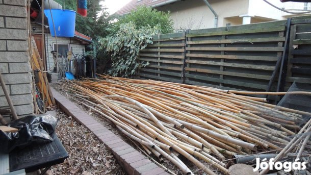 Bambusz szárak eladó kerthez, dekorációhoz