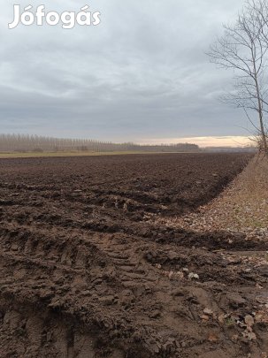 Bánkon gazdálkodásra alkalmas föld terület eladó