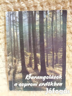 Barangolások a soproni erdőkben - Dr. Csapody István - illusztrált