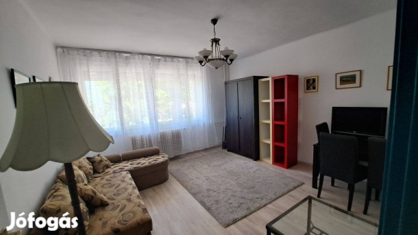 Barátságos lakás kiadó a pécsi belvárosban