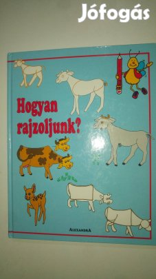 Barbara Soloff-Levy Hogyan rajzoljunk?